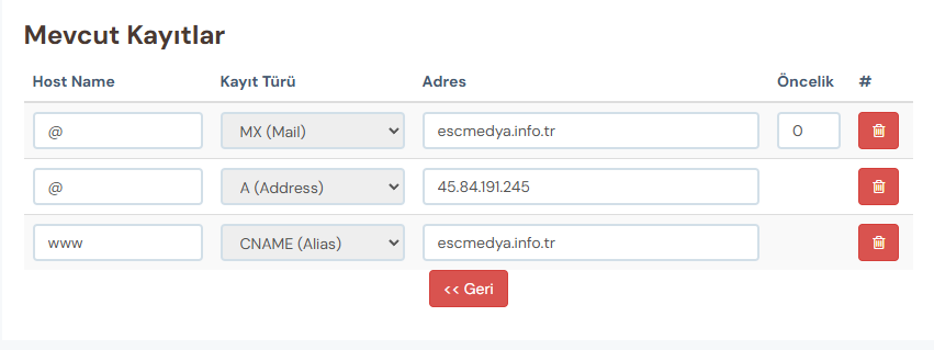 DNS yönetim paneli örneği