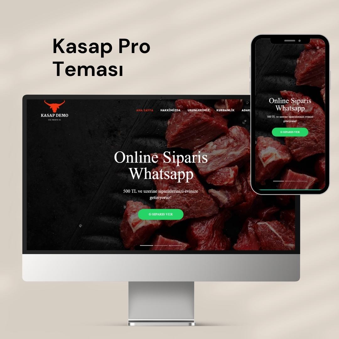 Kasap Pro V1